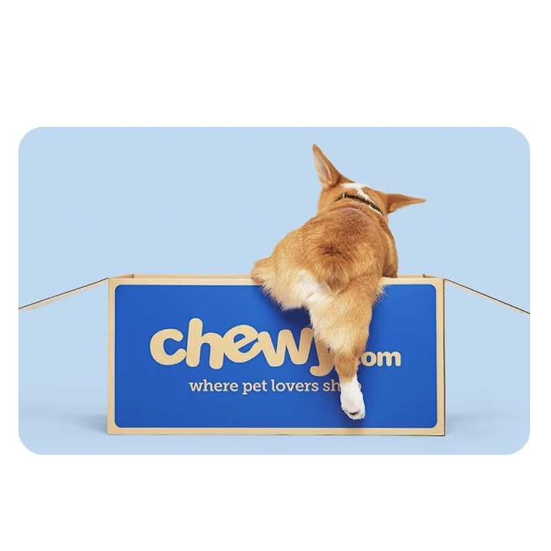 Gifts for Dog Lovers: Chewy, Furbo, and More