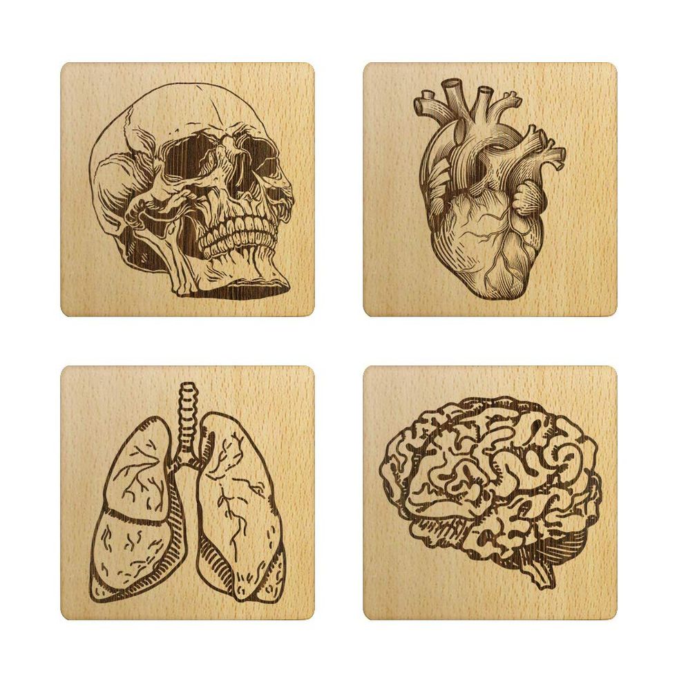Wooden Human Anatomy Coasters (Set of 4) 