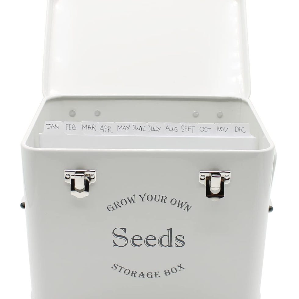 Seed Storage Box With Dividers