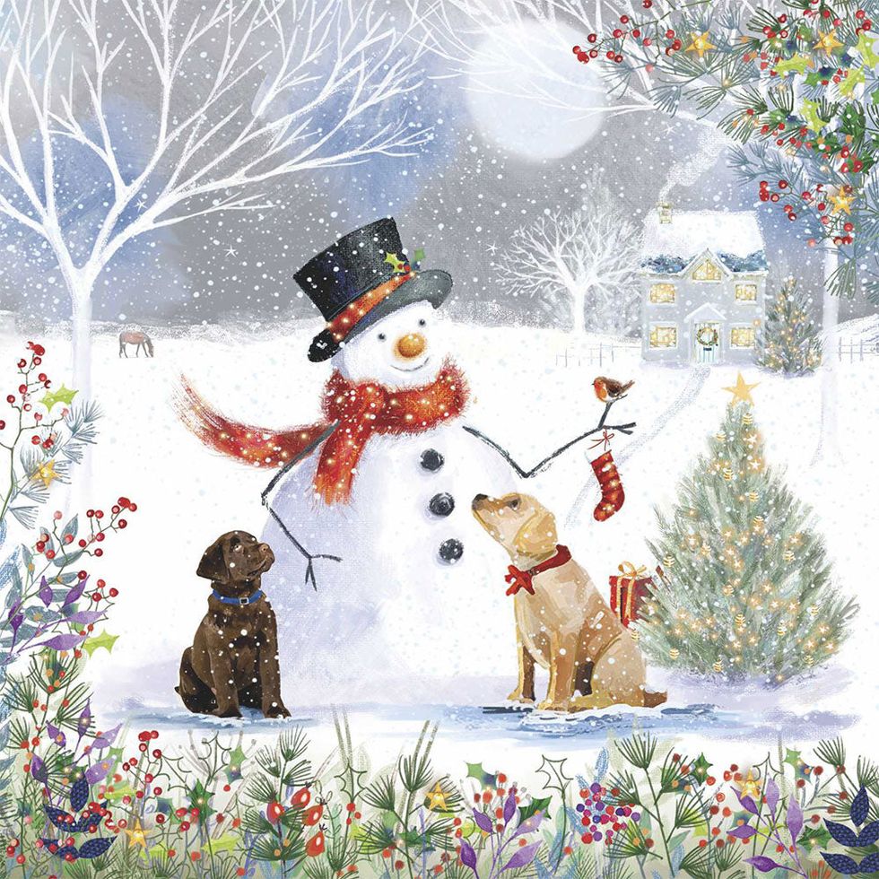 Frosty's Friends Pack of 10 Charity Christmas Cards