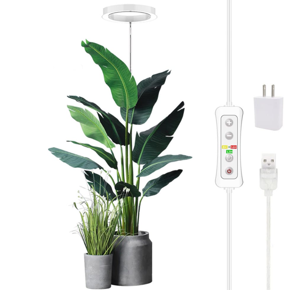 Plant Grow Light