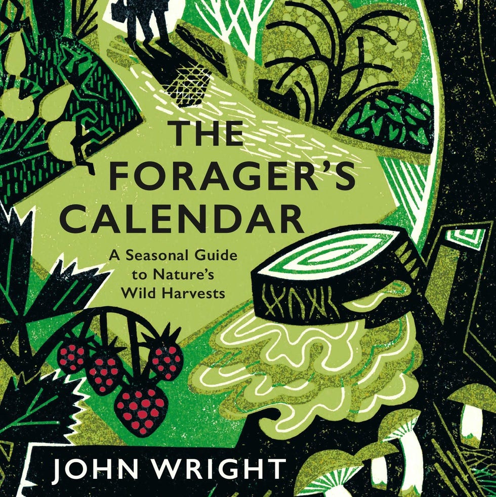 The Forager's Calendar: A Seasonal Guide to Nature’s Wild Harvests