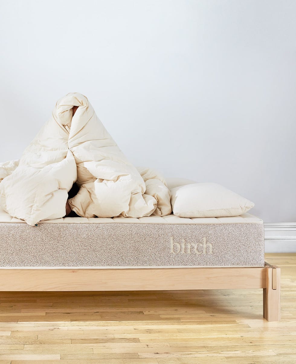 Natural Down Duvet Insert