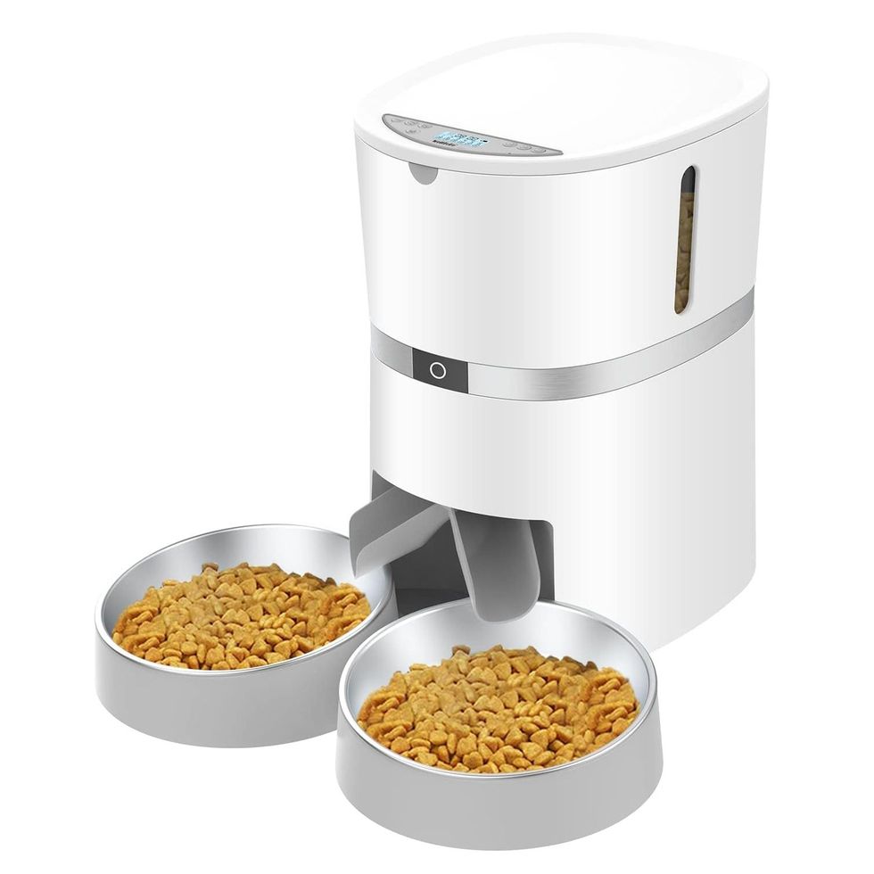 The 9 Best Automatic Cat Feeders of 2024, Tested and Reviewed