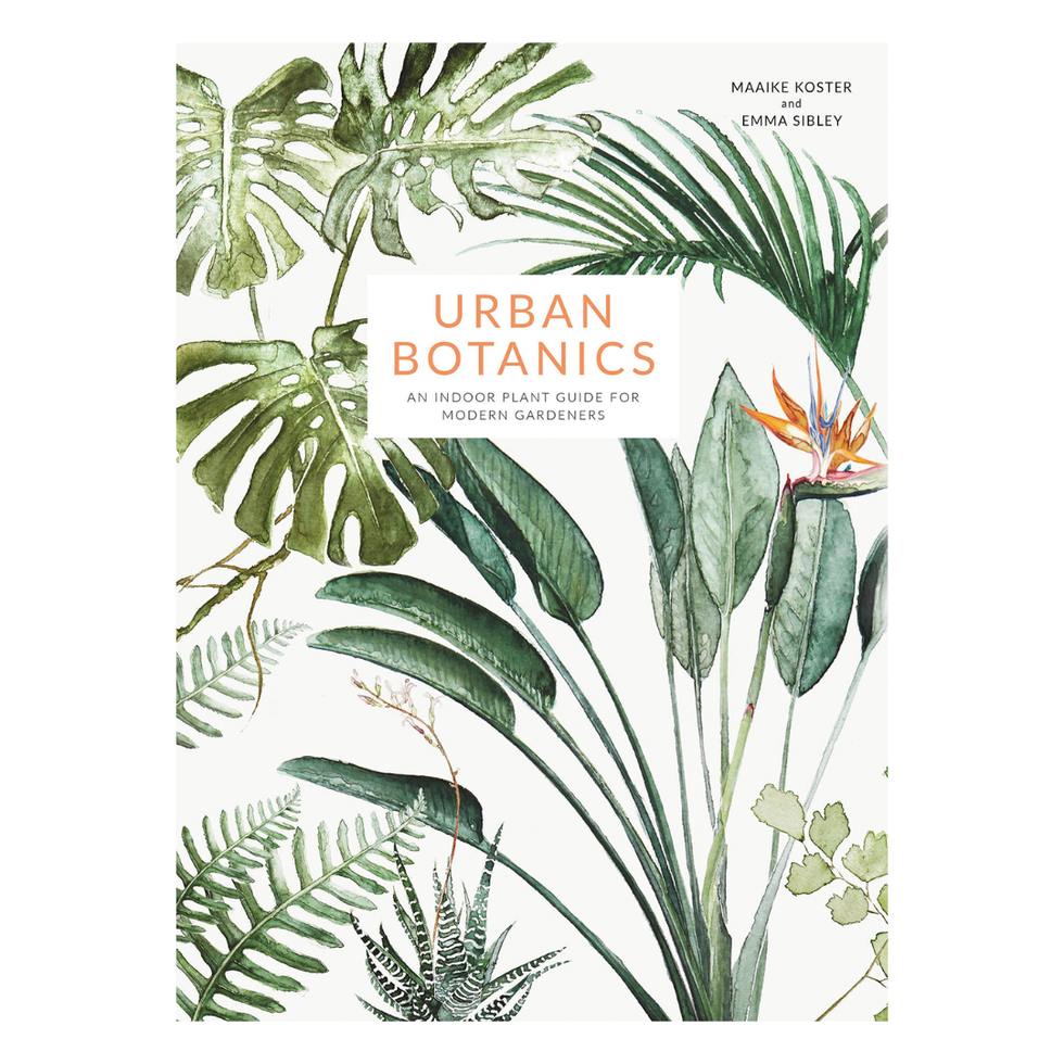 47 Best Gift Ideas for Plant Lovers of 2023