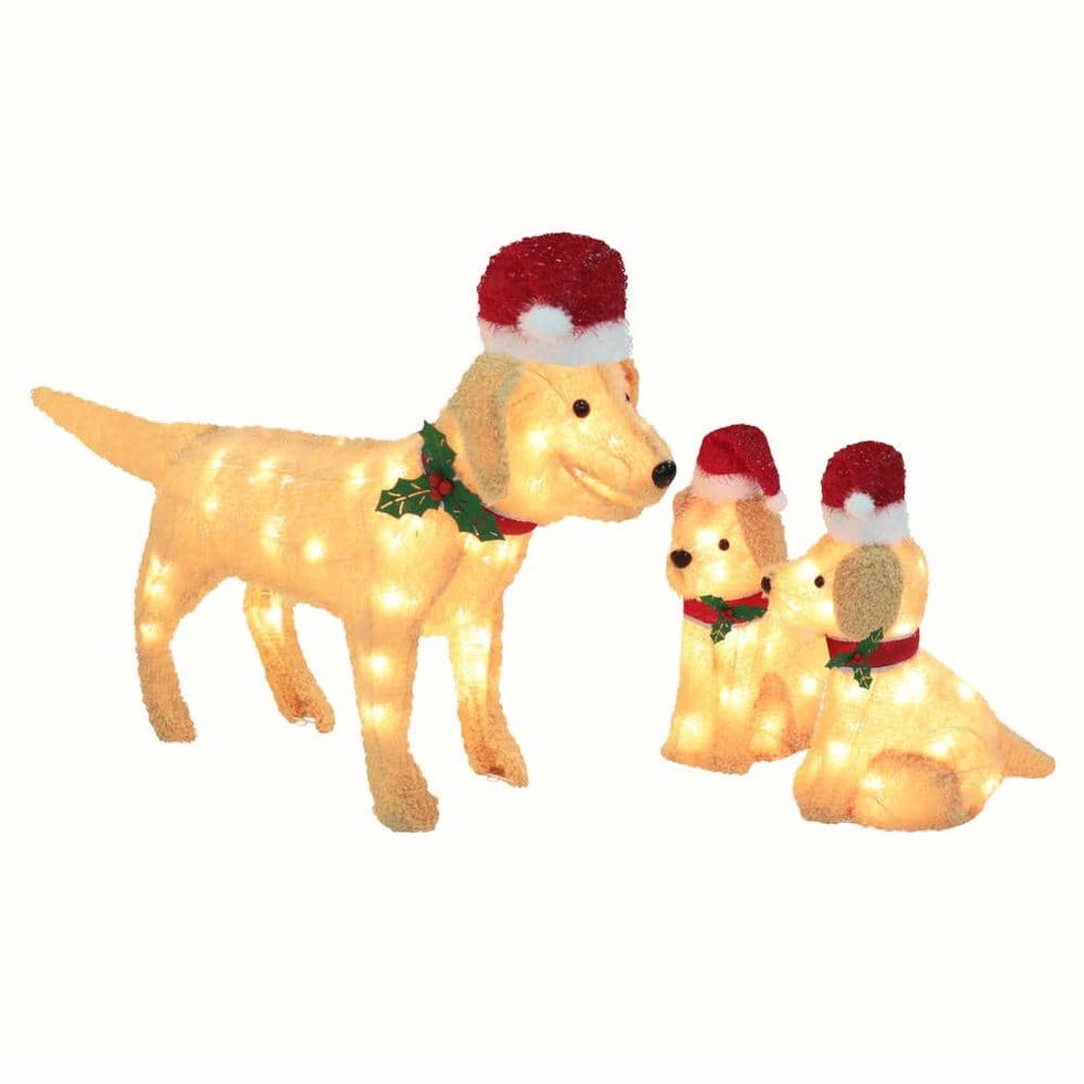 Where To Buy Alex Drummond's Christmas Golden Retriever Decoration