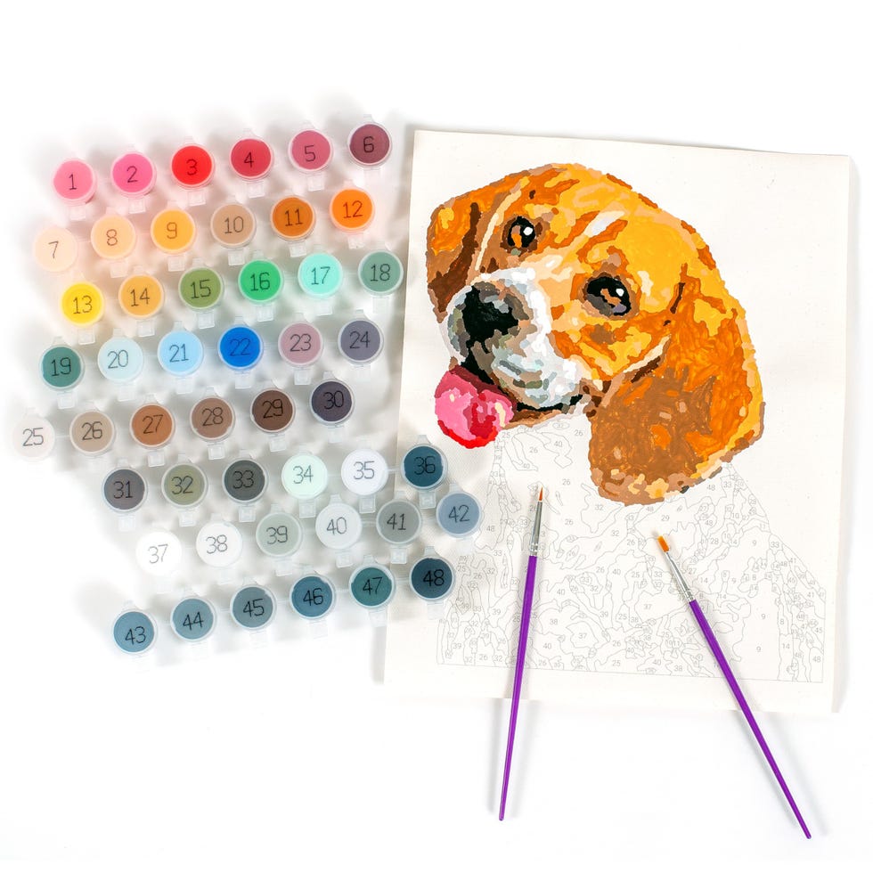 Paint Your Photo by Number: Pets Edition