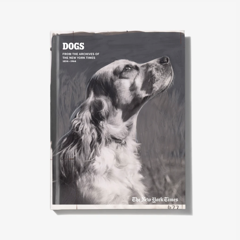 The 51 Best Gifts for Dogs and Dog Lovers of 2023