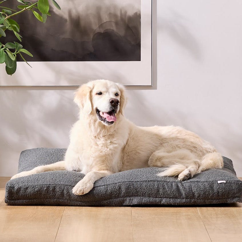 Dog Bed