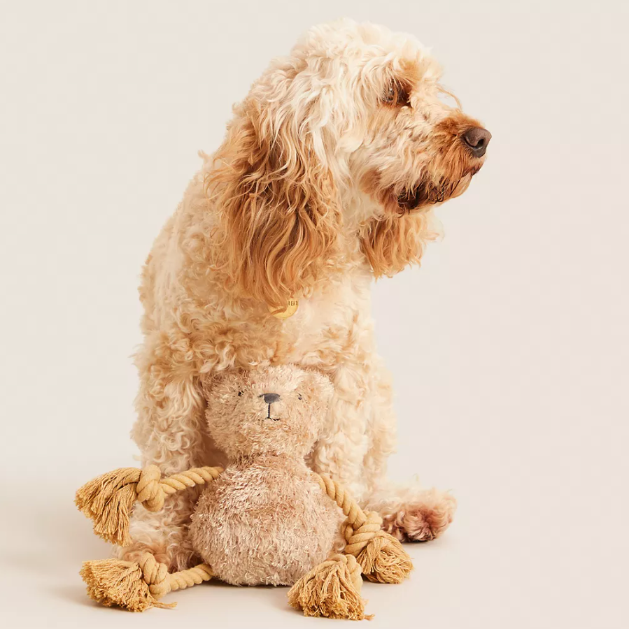 Spencer Bear™ Rope Pet Toy