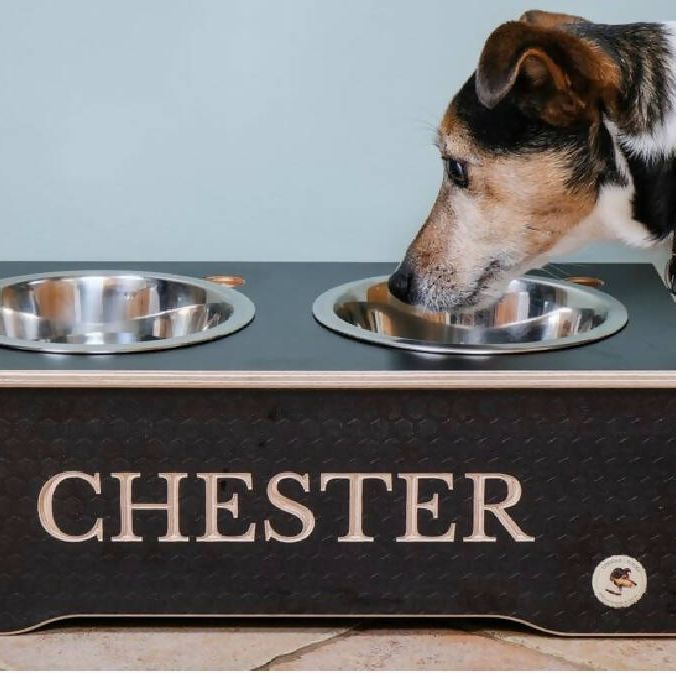 Personalized Dog Bowl - Great Christmas Gift