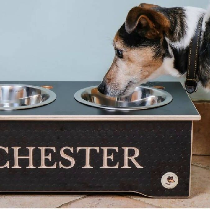Wooden Raised Dog Bowl Stand