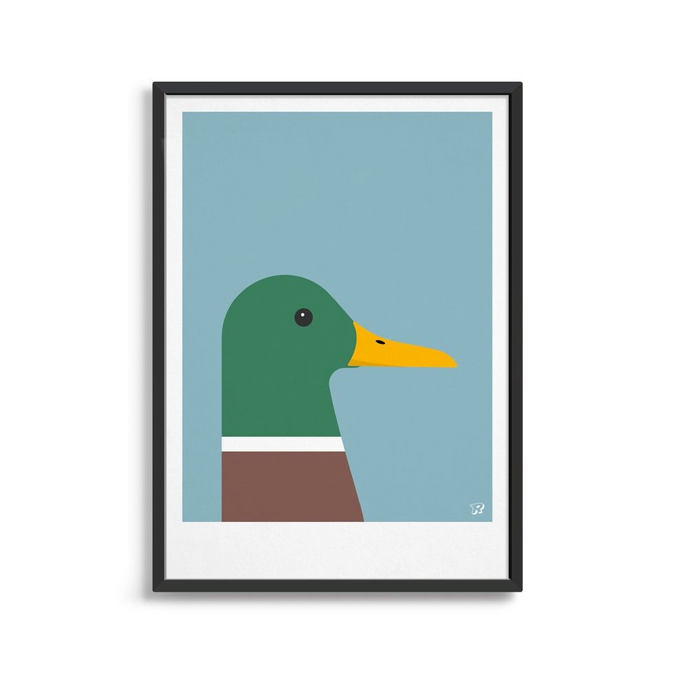 Duck poster