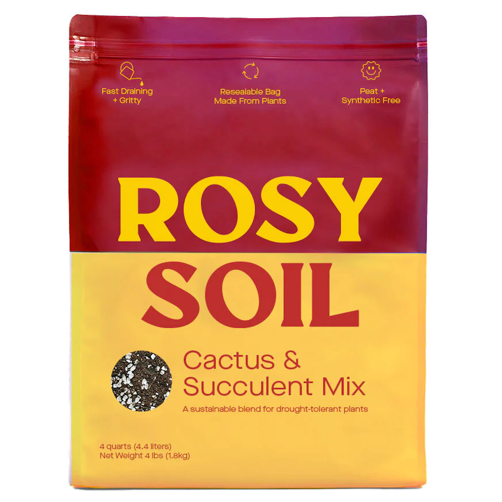 The perfect succulent soil guide for a very happy cactus