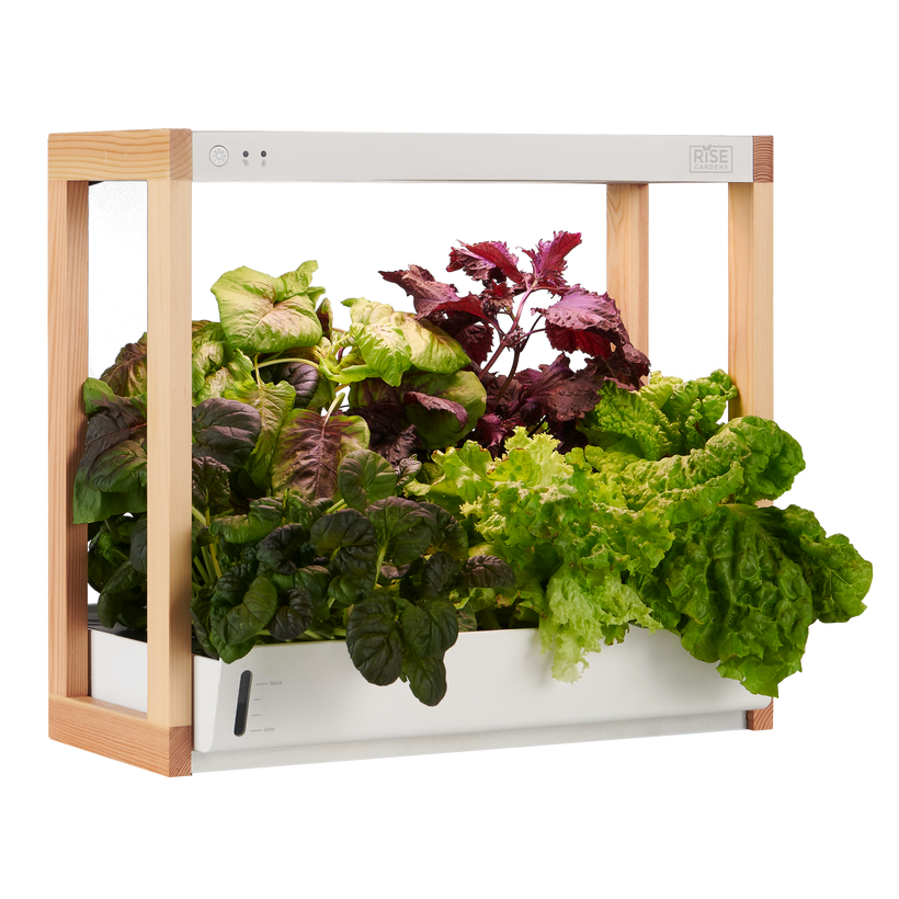 19 Best Gifts for Gardeners According to a Chef-Turned-Green-Thumb