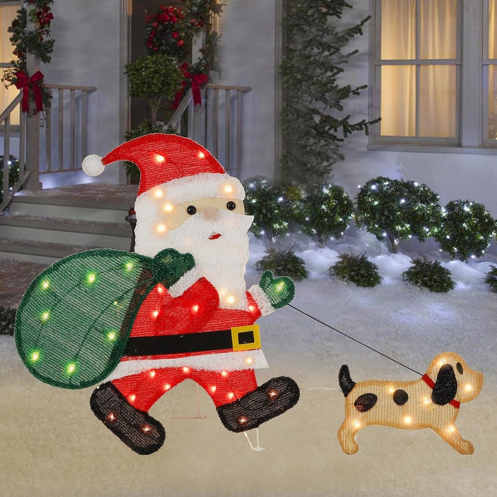 Santa Claus with Puppy