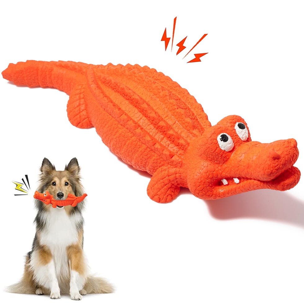 Squeaky Dog Toys for Aggressive Chewers