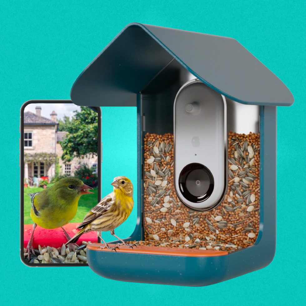 REVIEW: New smart bird feeder with a camera and sleek app