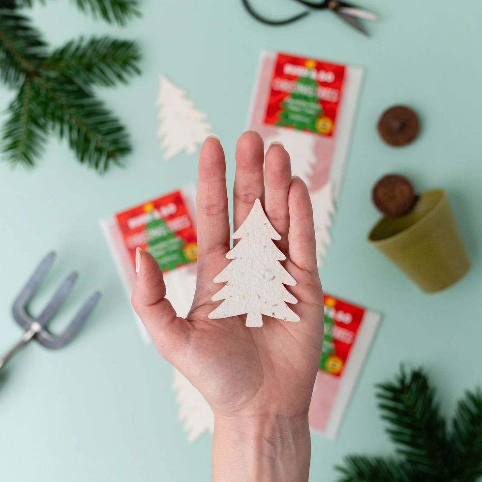 Seed Paper Christmas Trees