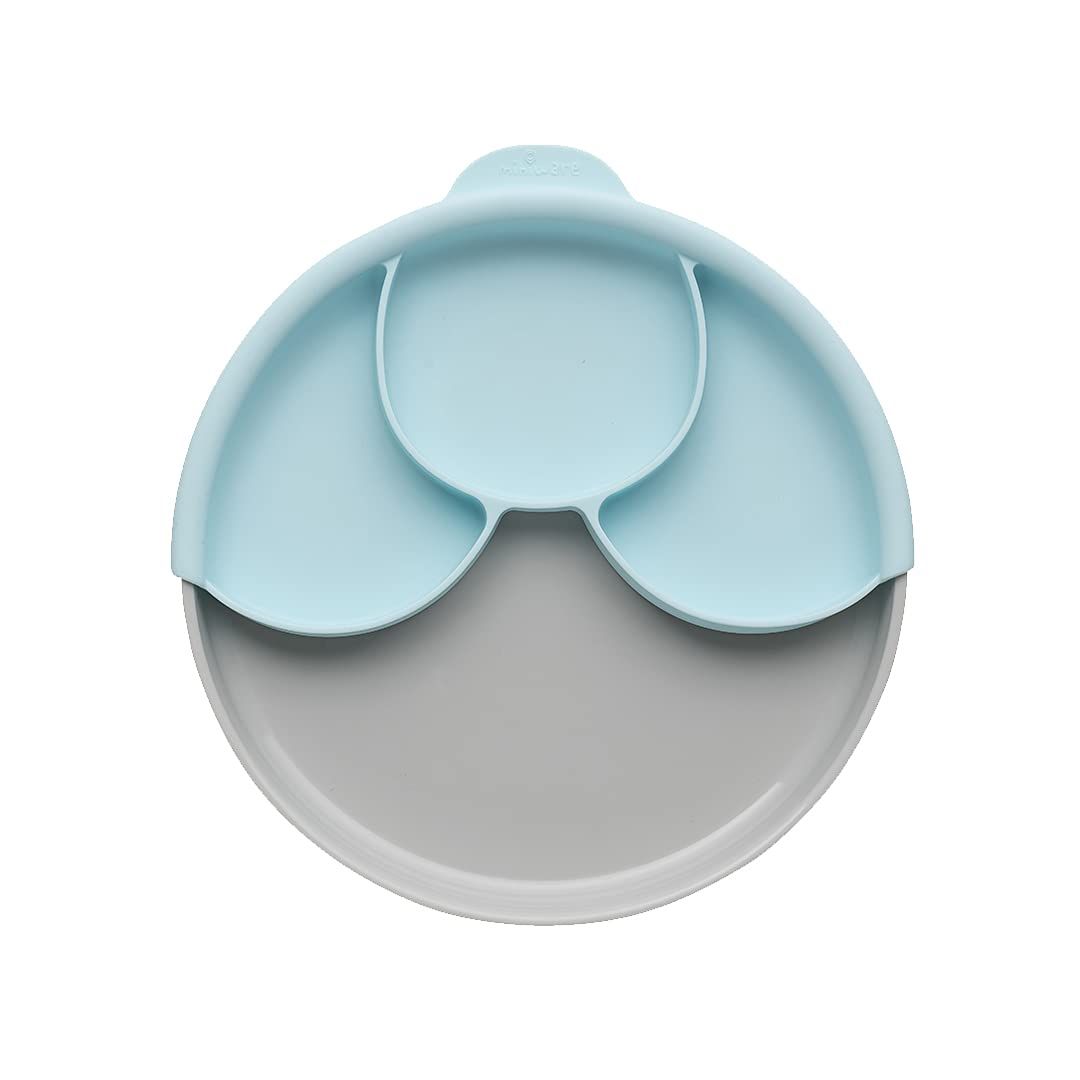 Best baby 2025 suction plate