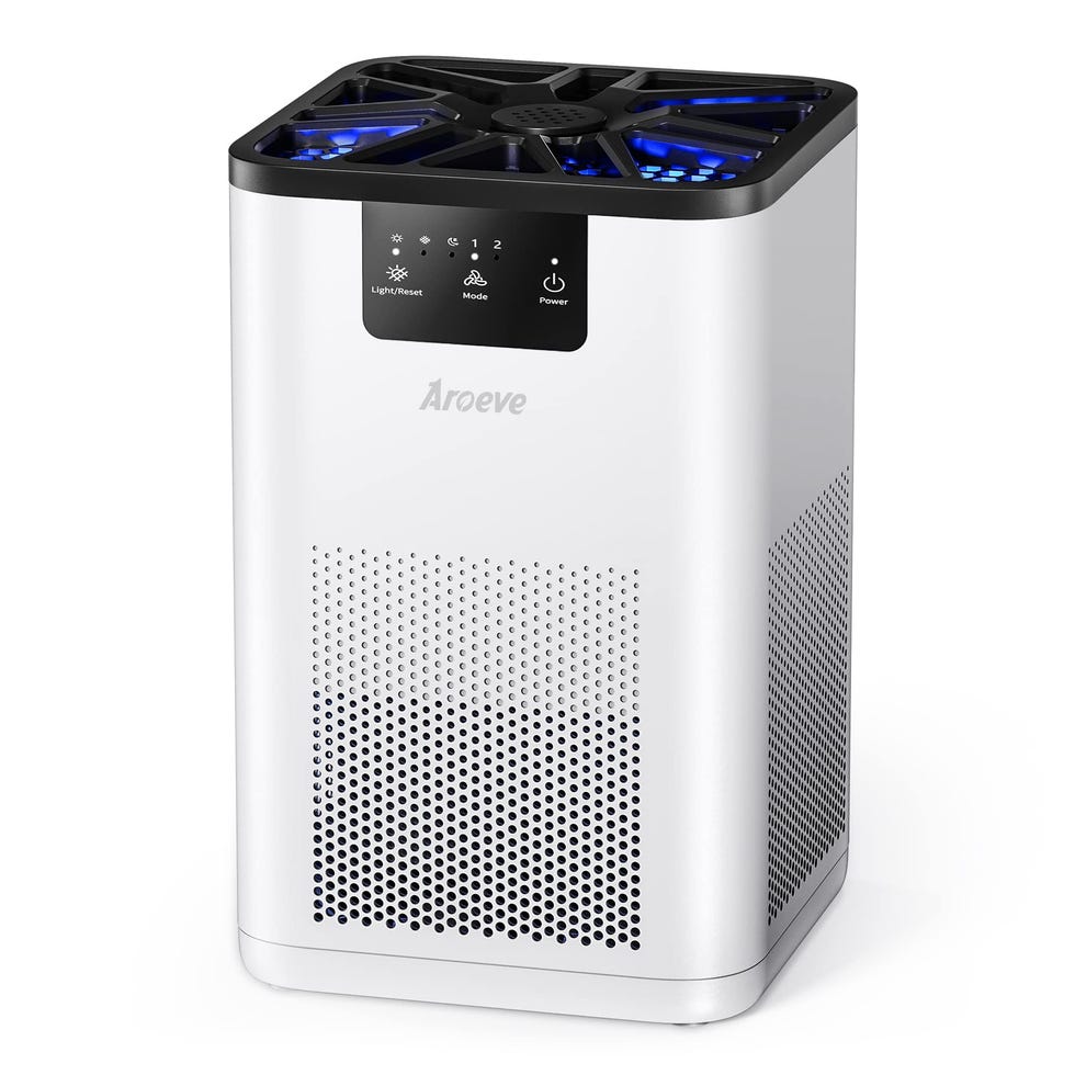 Air Purifiers 