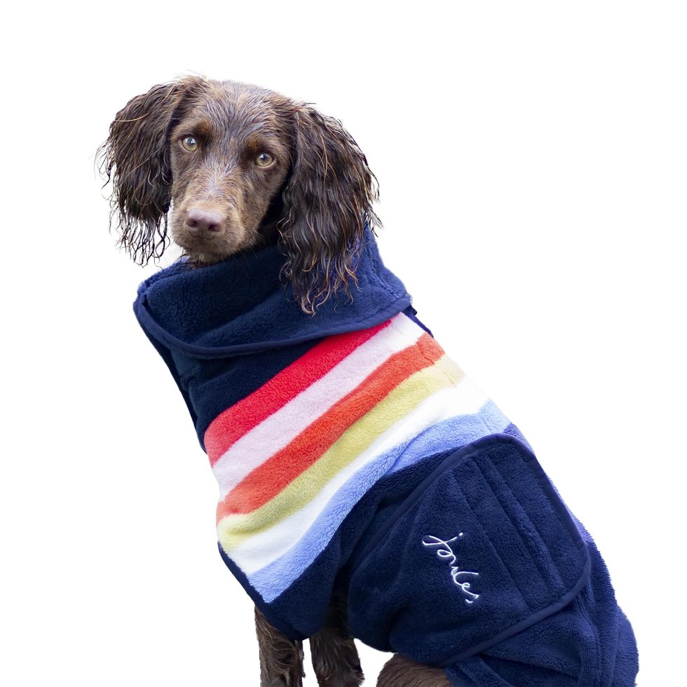Rosewood x Joules Rainbow Towel Drying Dog Coat