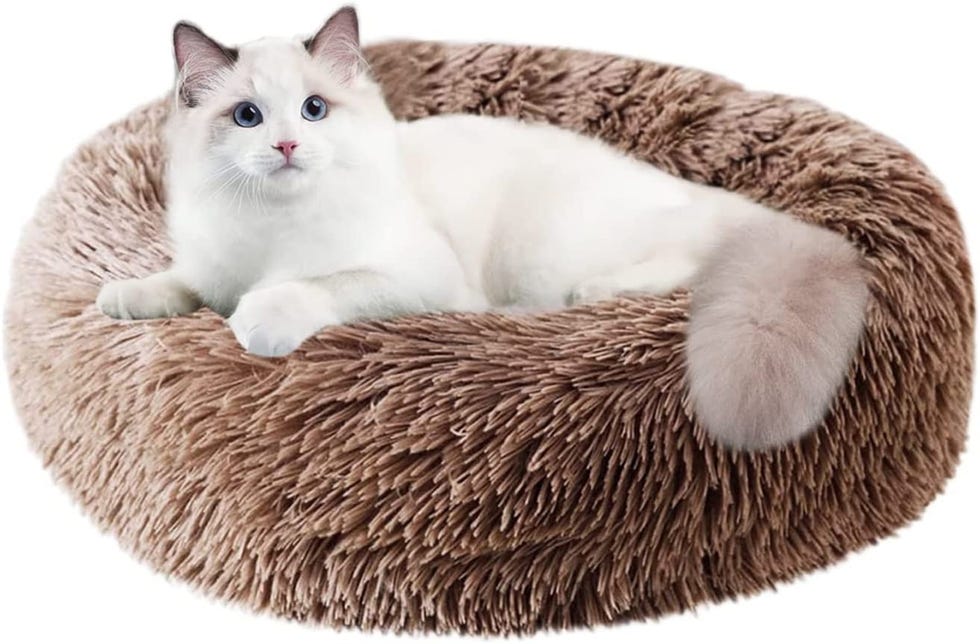 Cat Bed