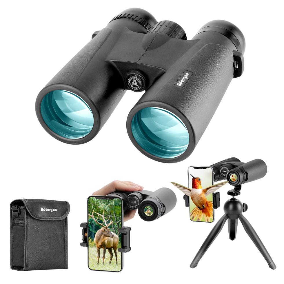 HD Bird Watching Binoculars