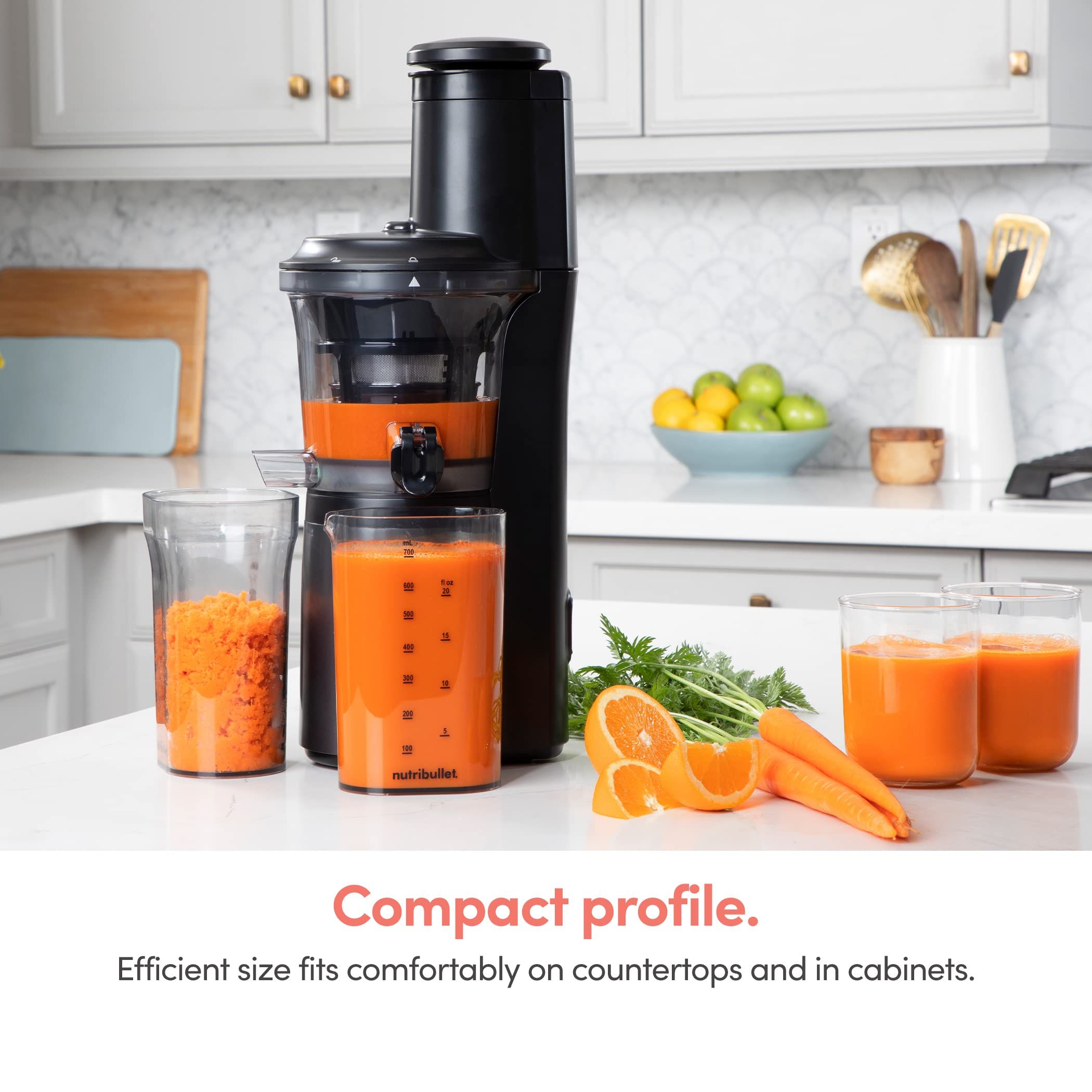 Best slow masticating outlet juicer