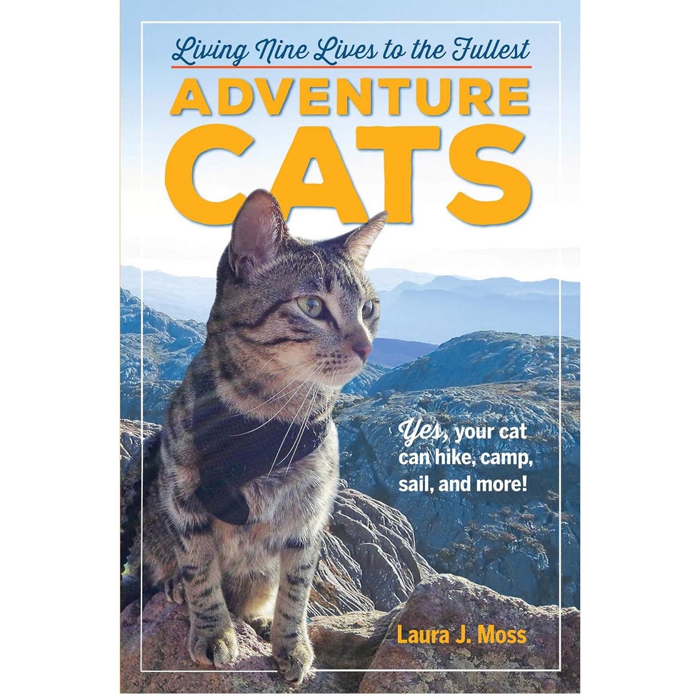 Adventure Cats: Living Nine Lives to the Fullest