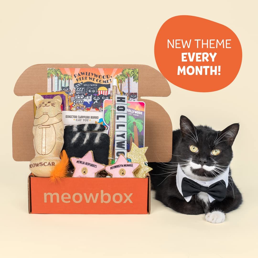 Products for cat store lovers