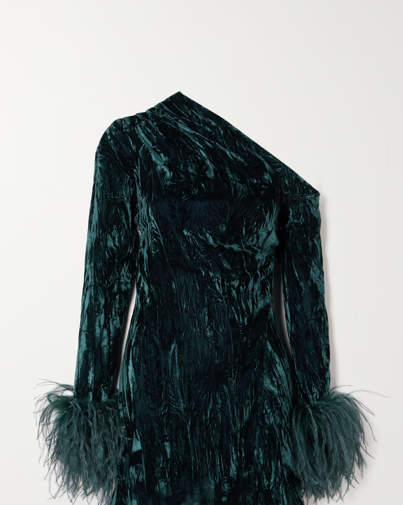 Adelaide One-Shoulder Feather-Trimmed Crushed-Velvet Mini Dress