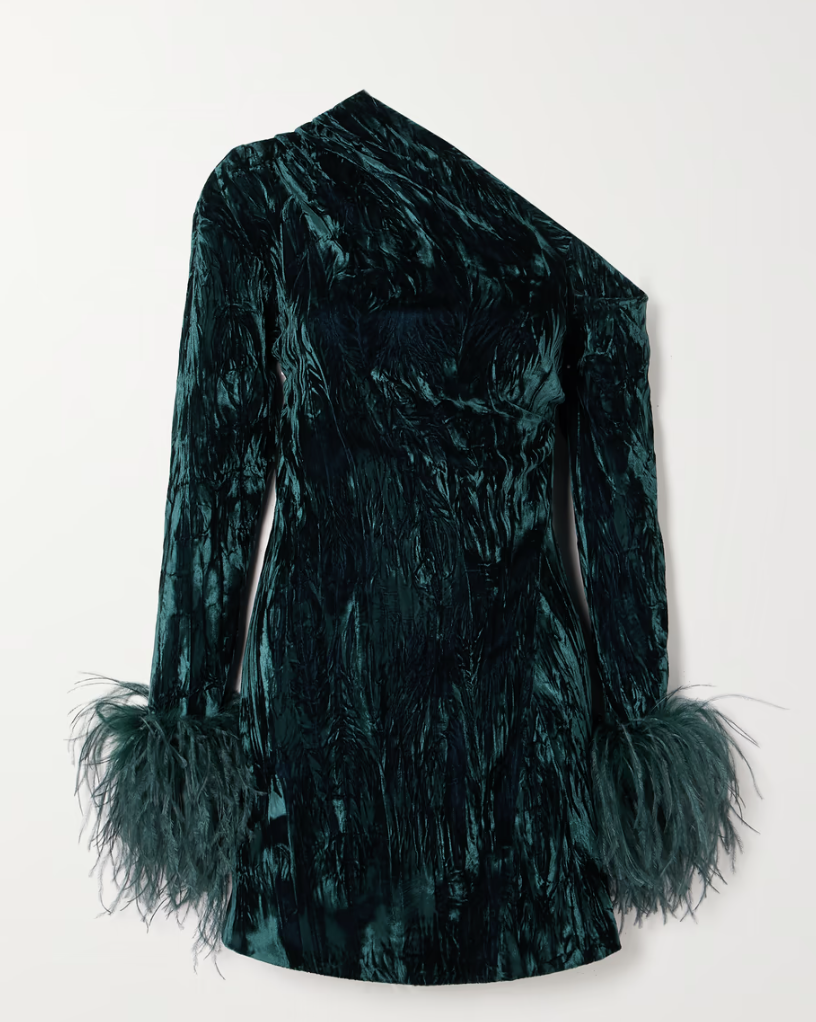 Adelaide One-Shoulder Feather-Trimmed Crushed-Velvet Mini Dress