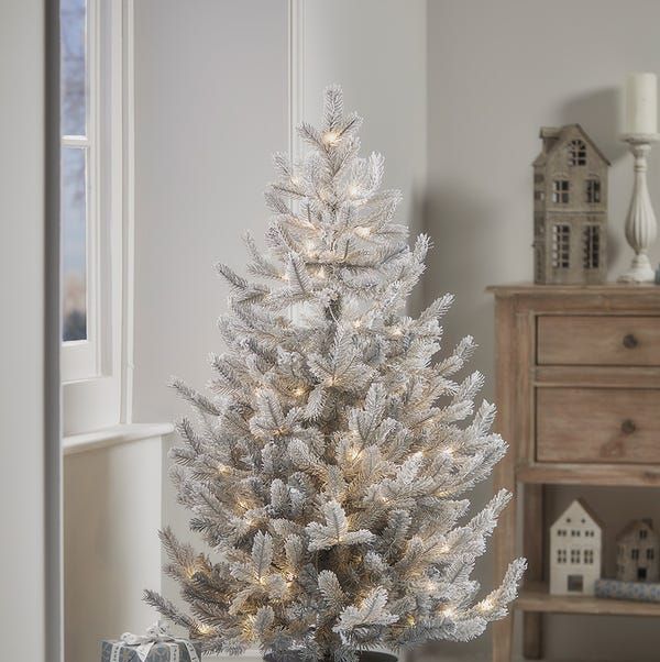 Cox & Cox Frosted Fir Pre-Lit Potted Tree
