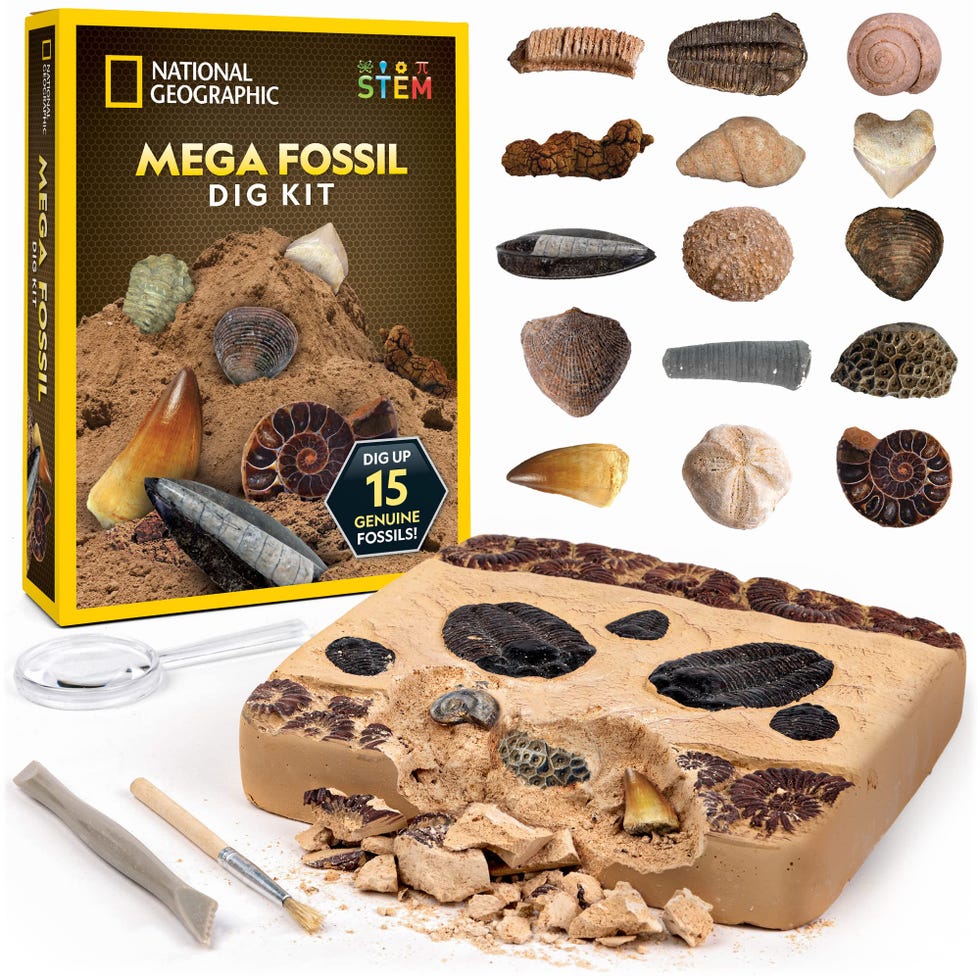Mega Fossil Dig Kit
