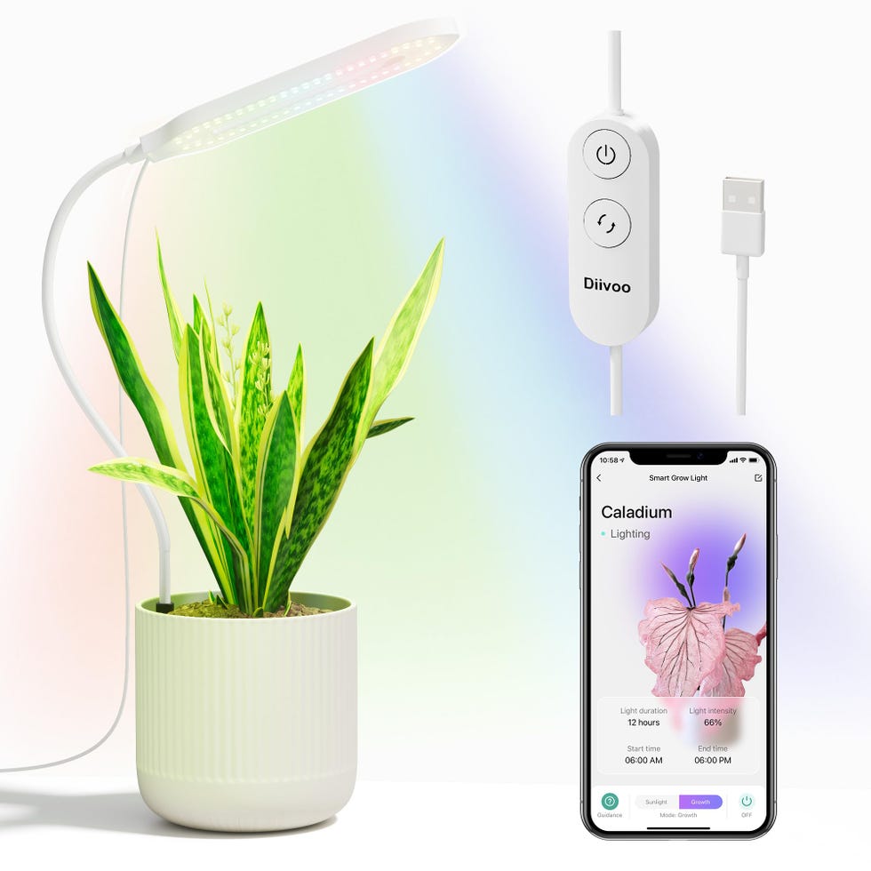 Lámpara de cultivo de mesa con App