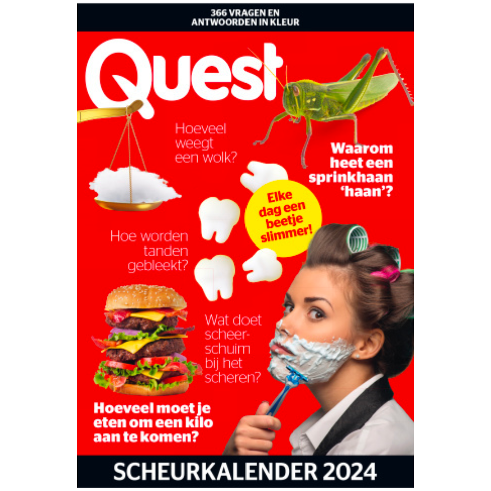 5x Quest Magazine + Quest Scheurkalender 2024
