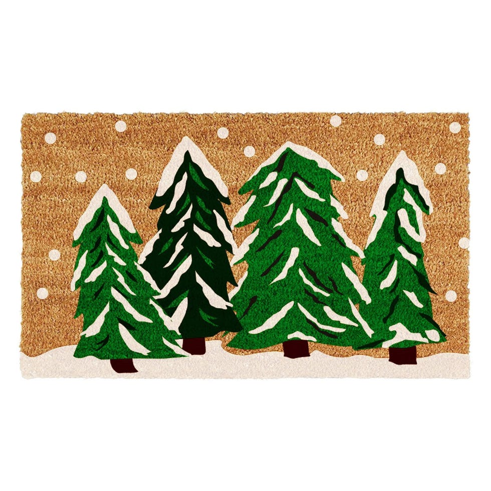 Winter Wonderland Doormat