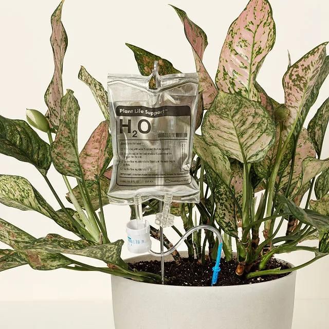 Plant Life Support Self-Waterer