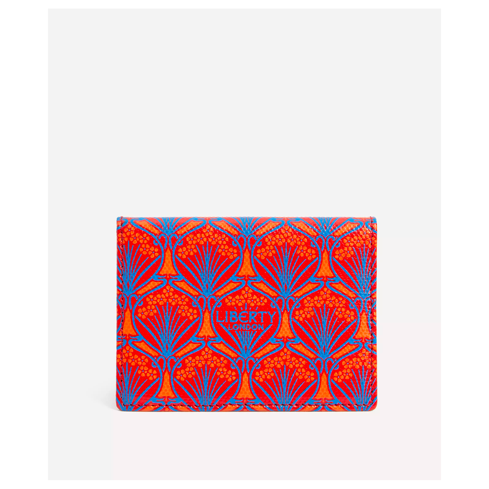 Iphis Travel Card Holder