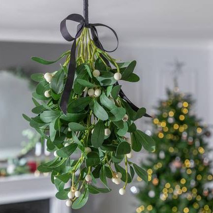 Faux Mistletoe Pick Christmas Decoration