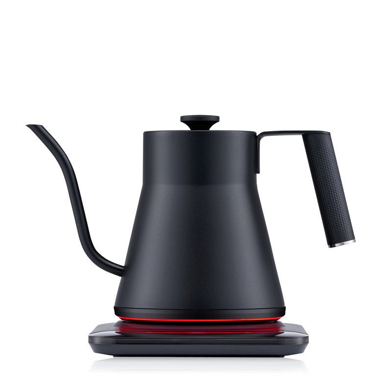 Stainless Steel Electric Tea Kettle