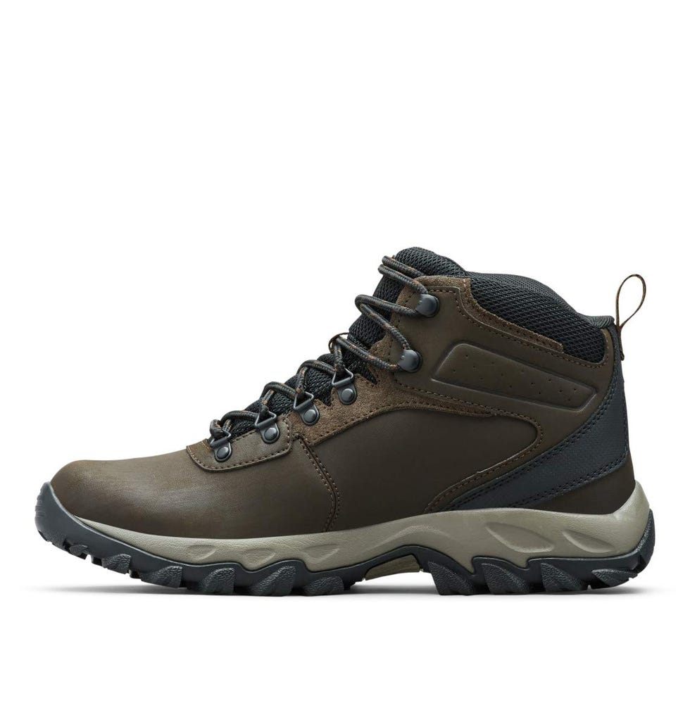 Newton Ridge Hiking Shoe