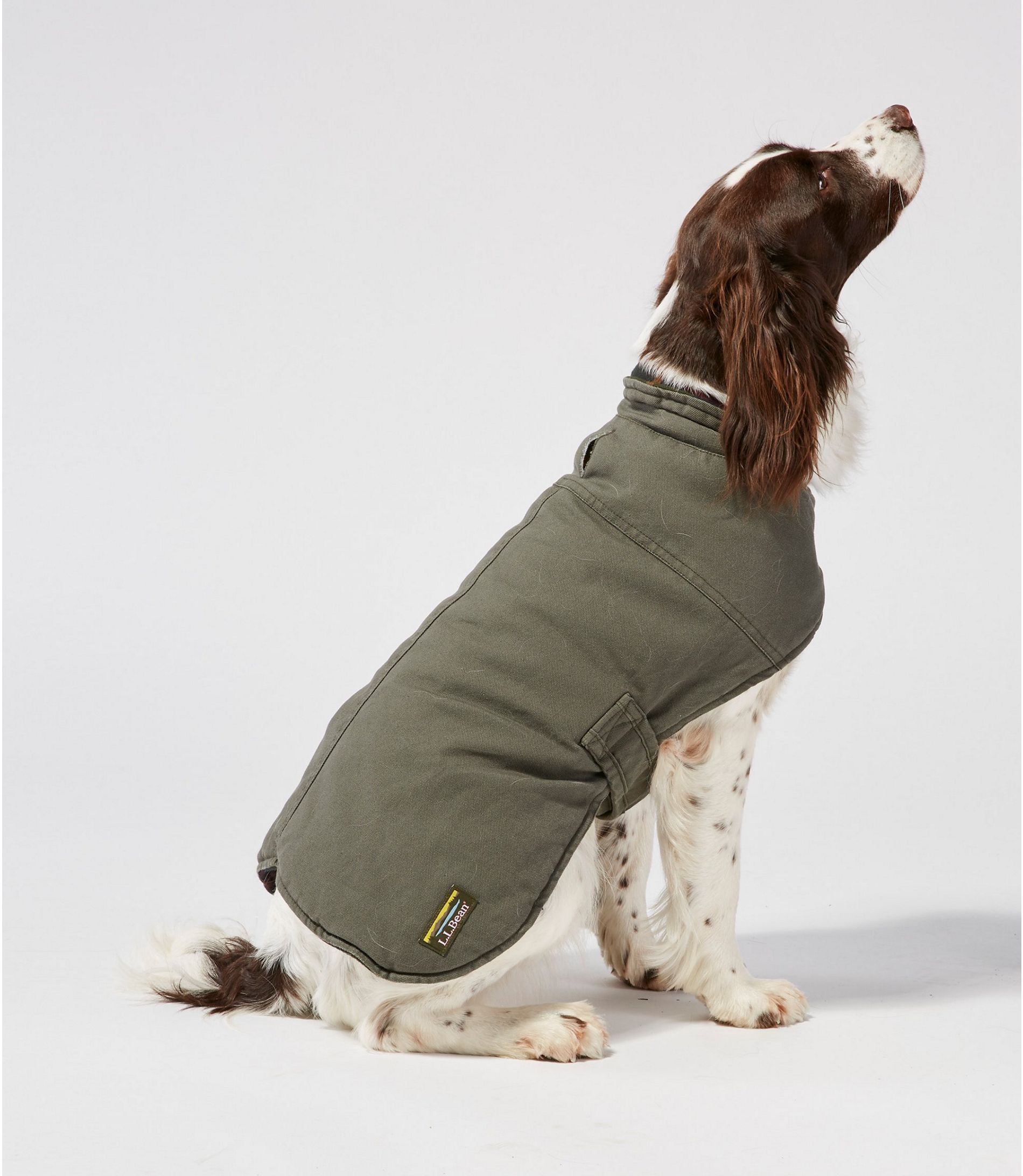 Good quality hot sale dog coats