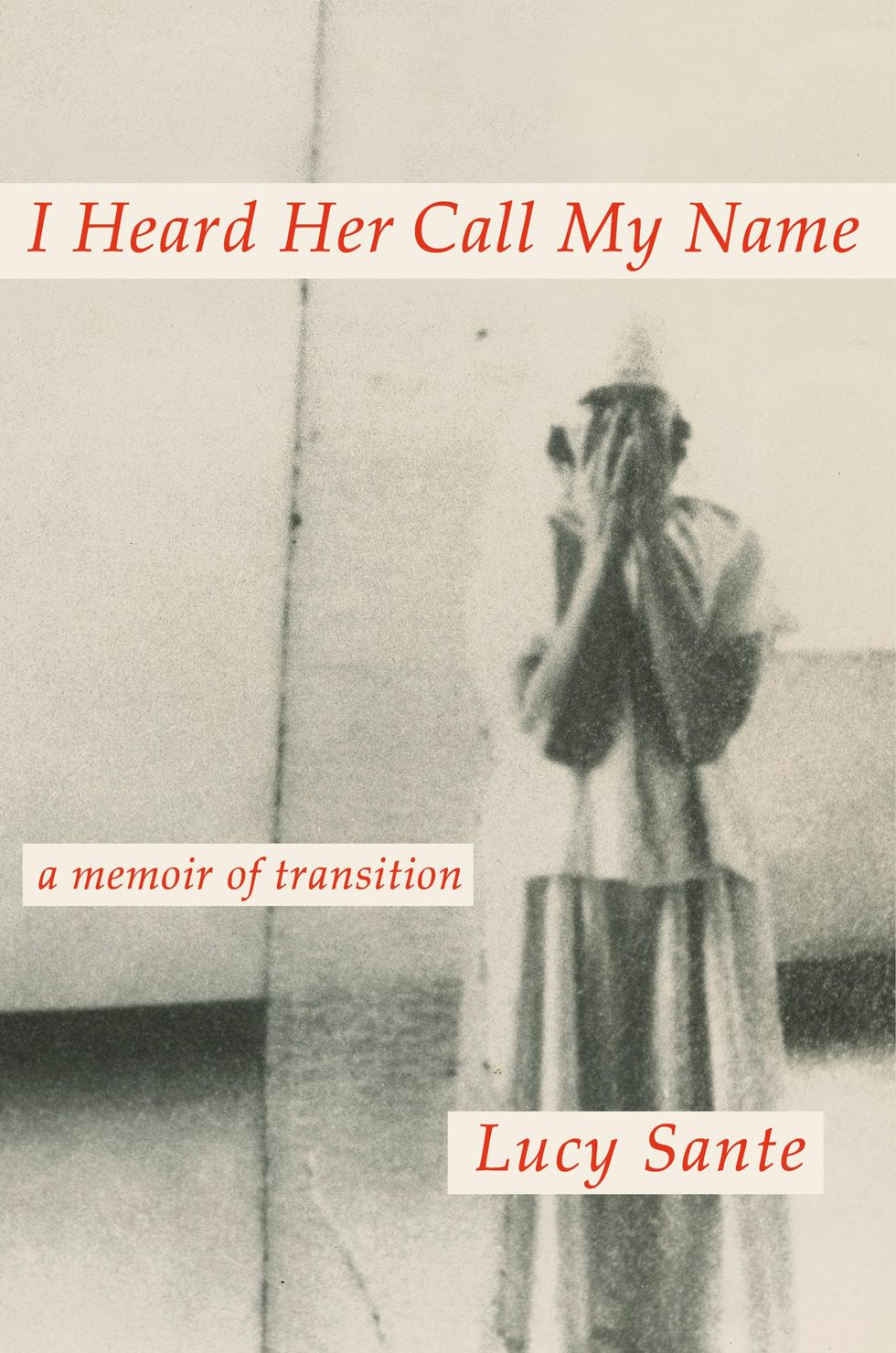 I Heard Her Call My Name, by Lucy Sante