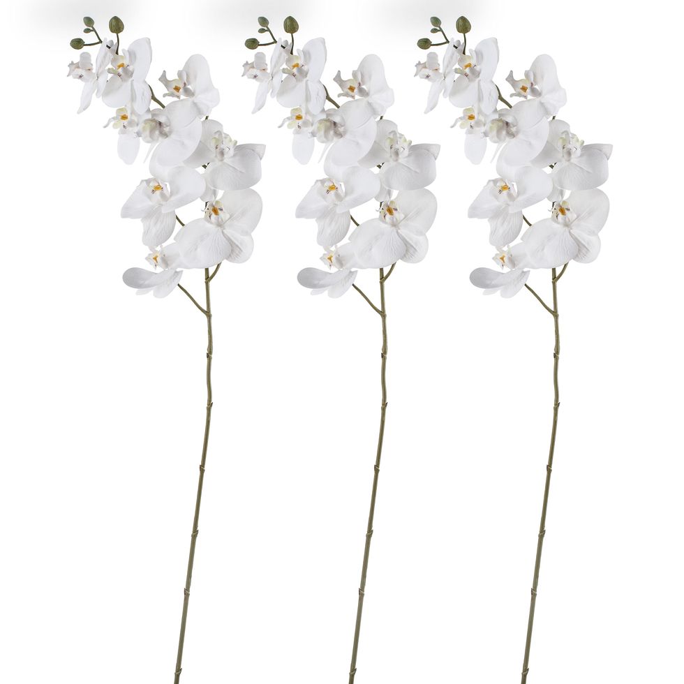 Faux Scented White Orchid by Fiori Sempre — Set of 3