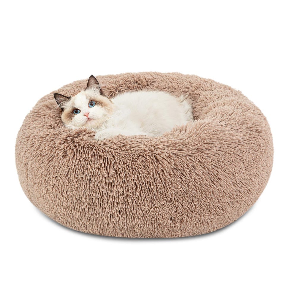 Washable Cat Bed