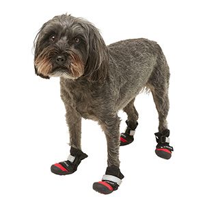 Best dog boots on sale for large breeds