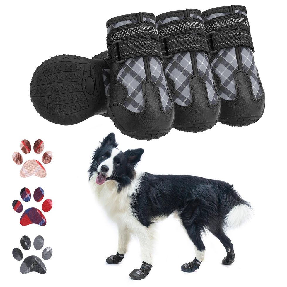 5 Best Dog Shoes of 2023 of 2024 - Reviewed