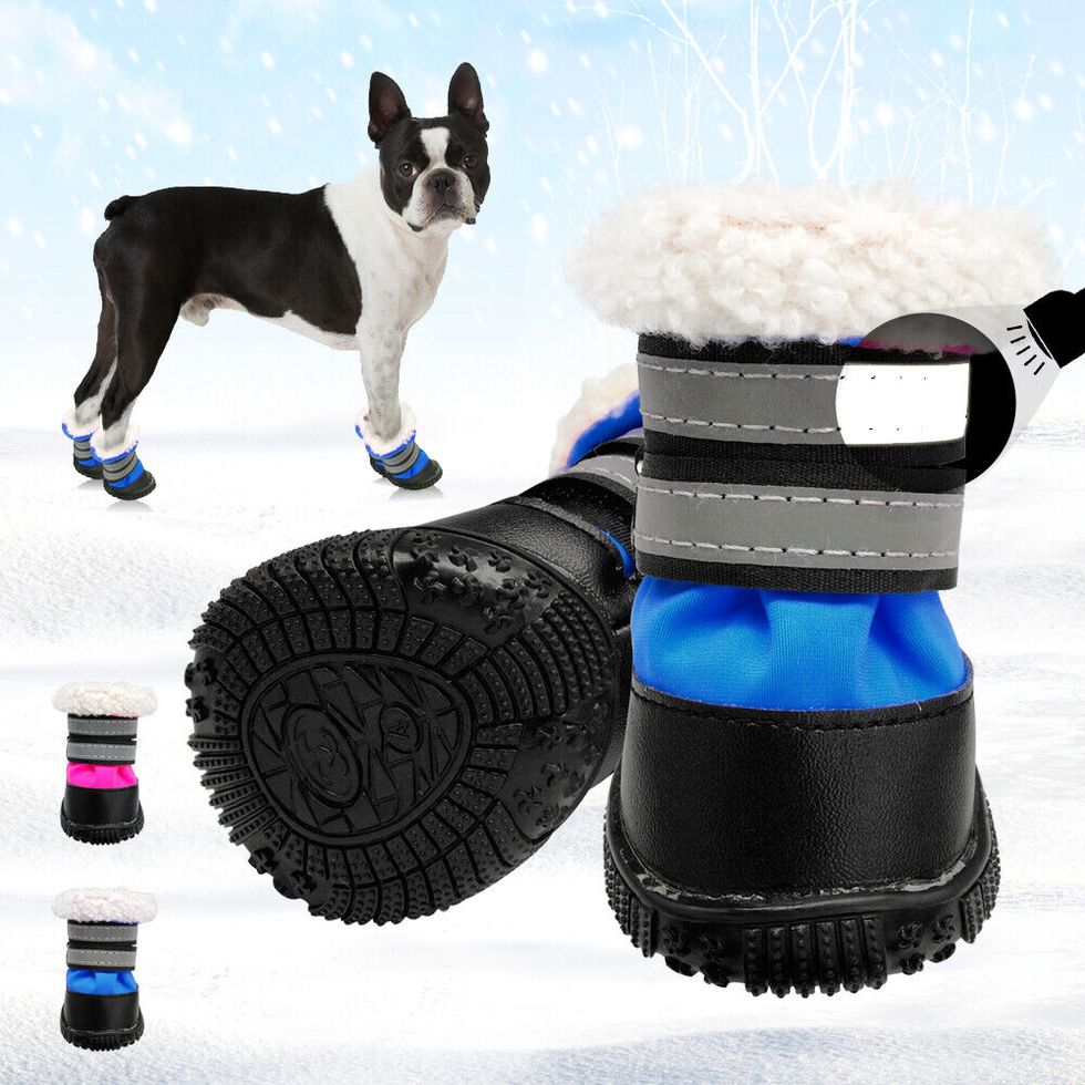 Waterproof Winter Dog Shoes Snow Boots
